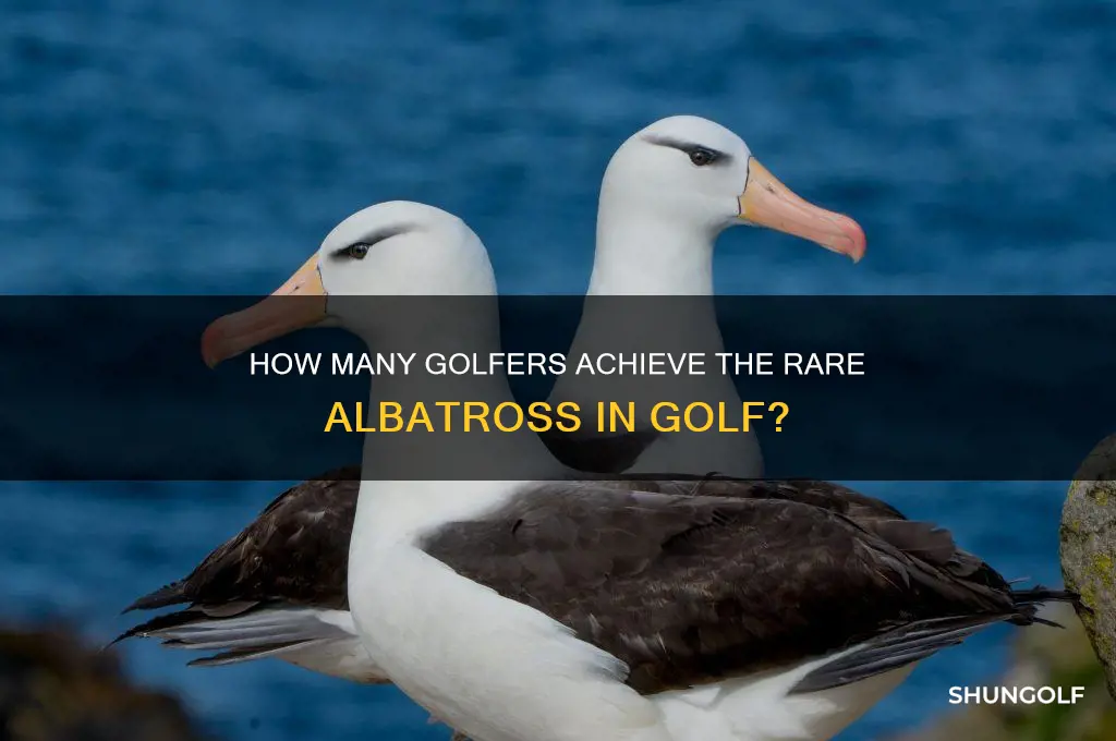 how many people have an albatross in golf