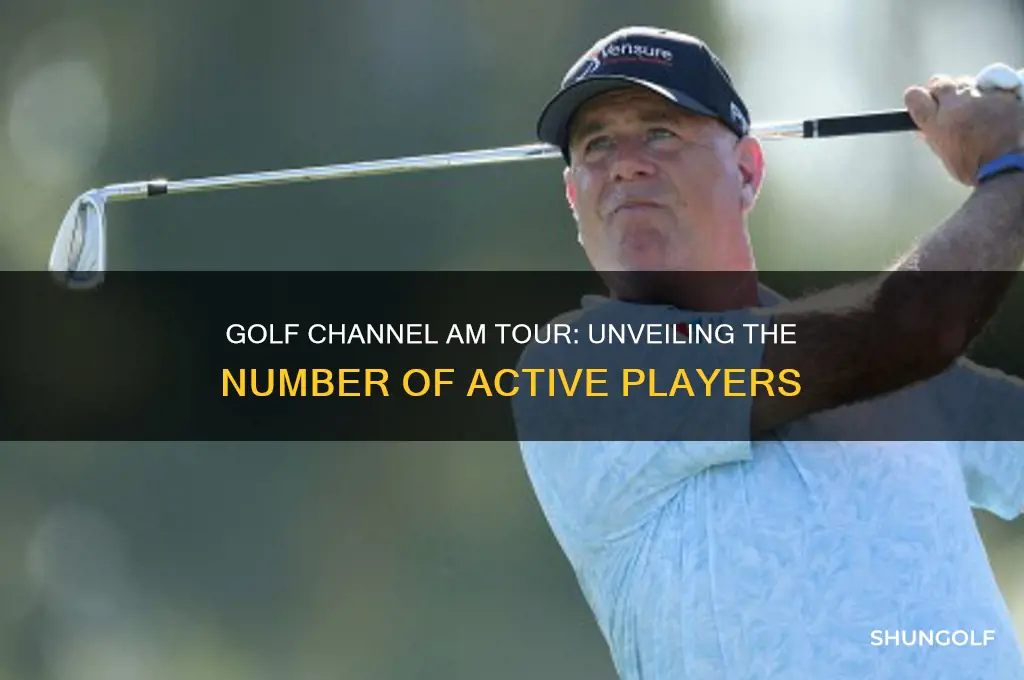 how many people play on the golf channel am tour