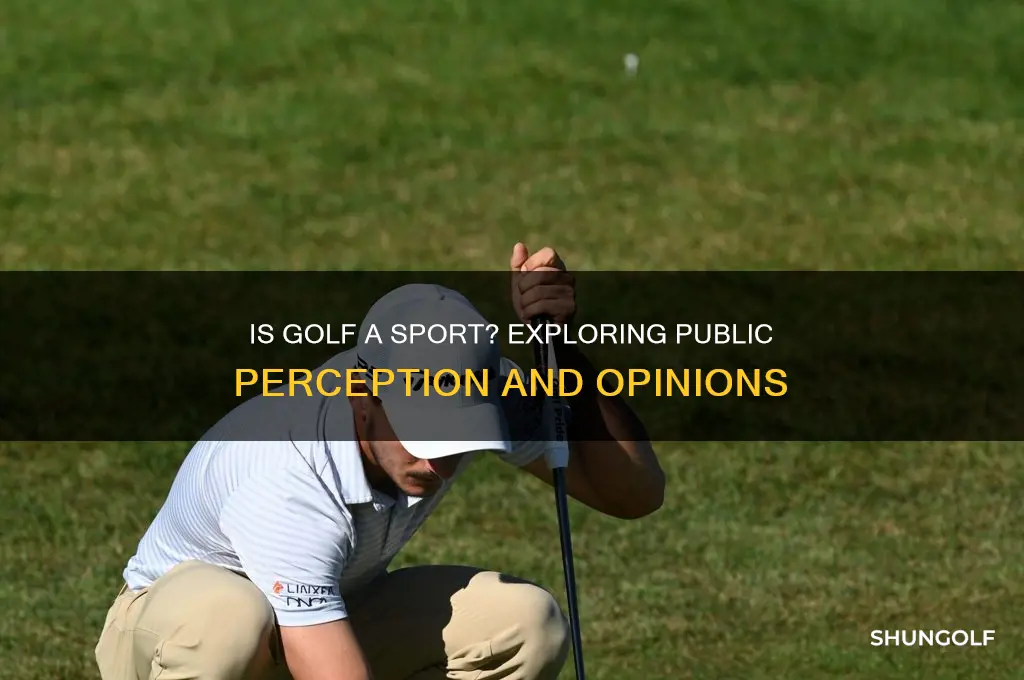 how many people think that golf is a sport