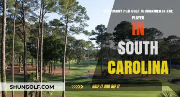 Exploring South Carolina's PGA Golf Tournament Scene: A Comprehensive Guide