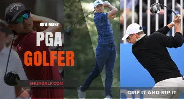 Golfers on the PGA Tour: How Many Are There?