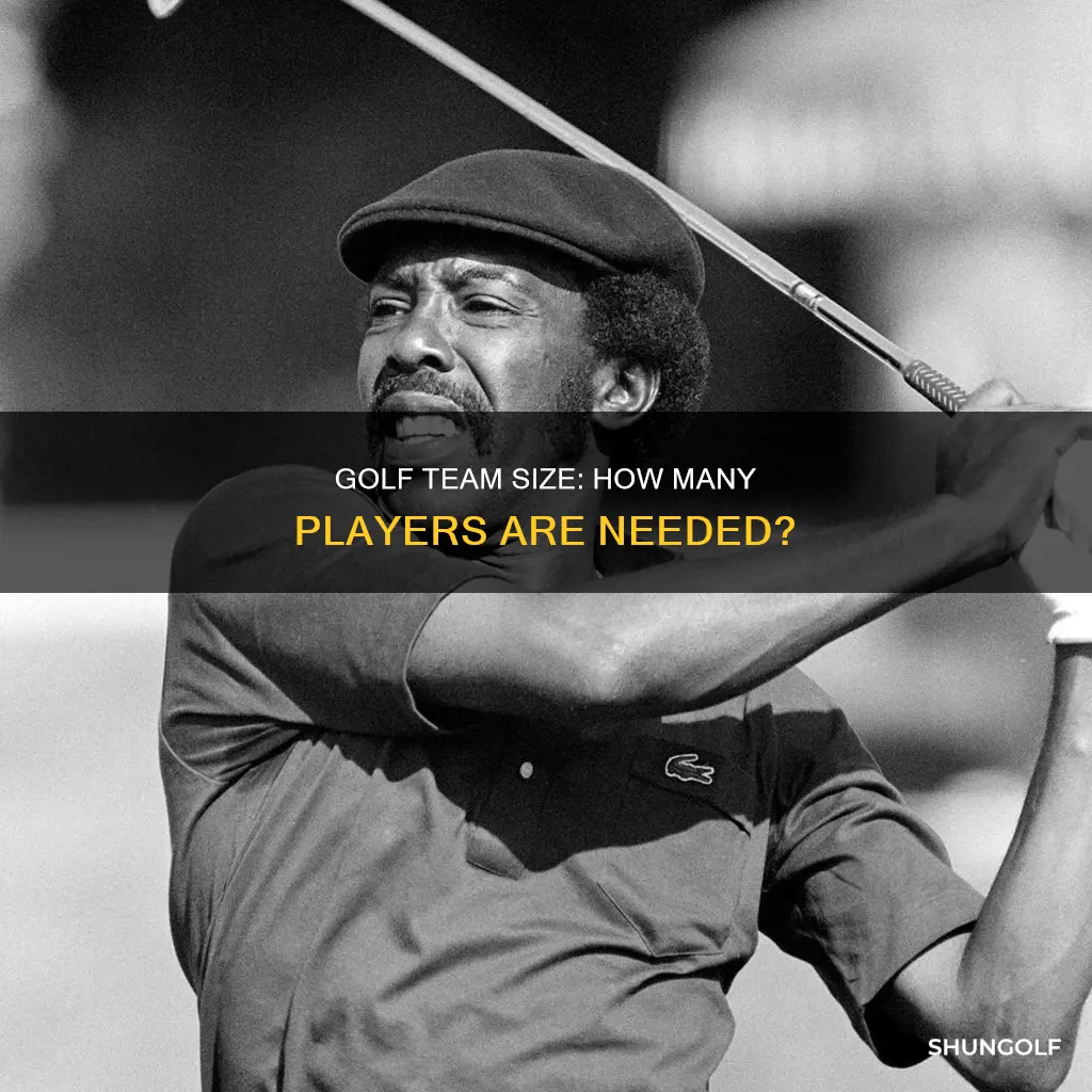 how many players are in golf