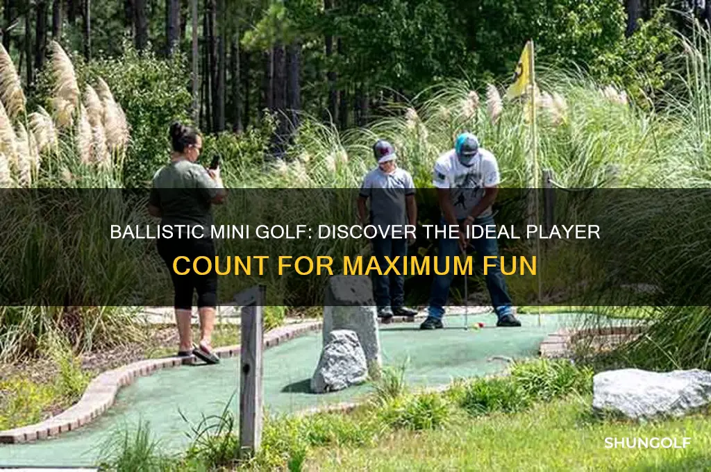 how many players can play ballistic mini golf