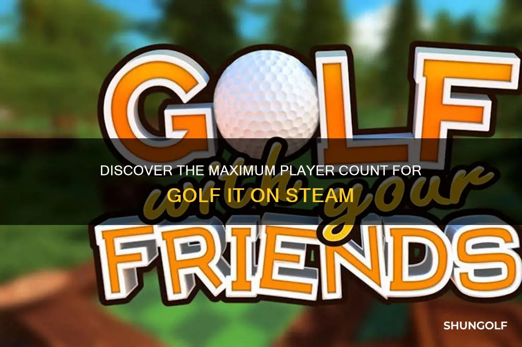 how many players can play golf it on steam