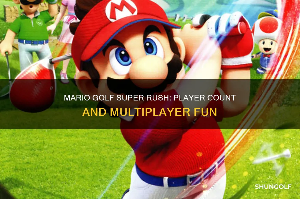 how many players can play mario golf super rush