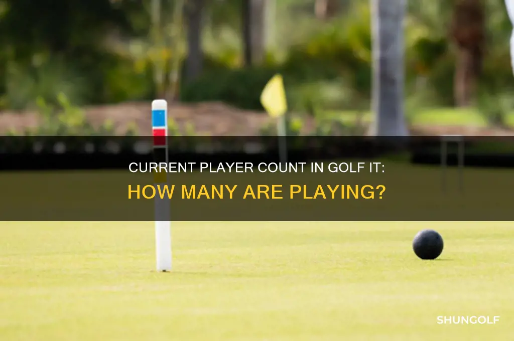 how many players does golf it have rn