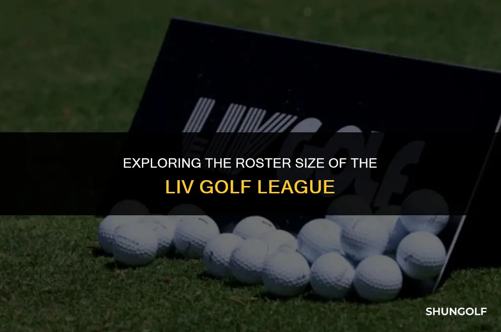 how many players in liv golf league