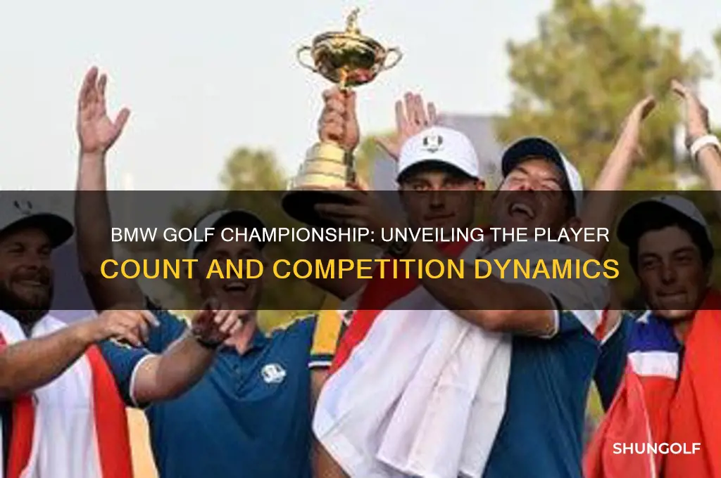 how many players in the bmw golf championship
