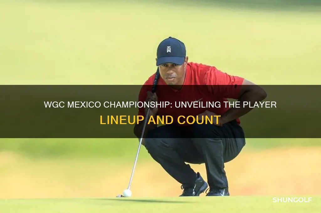 how many players in wgc golf mexico