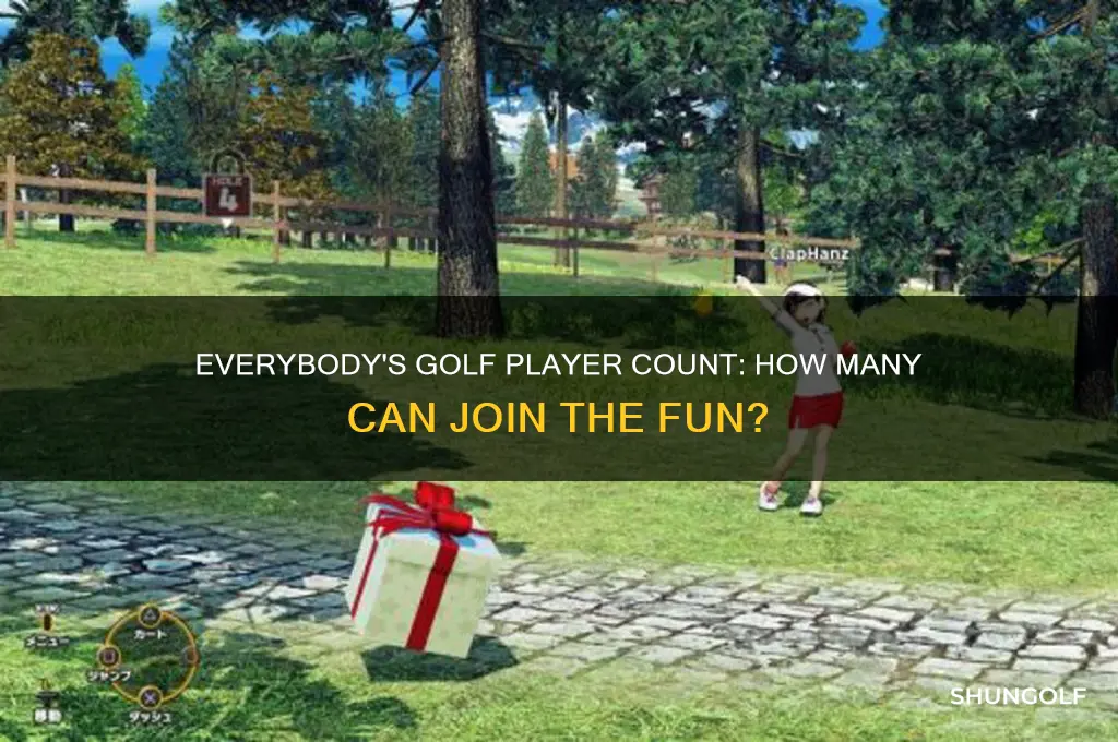 how many players is everybody
