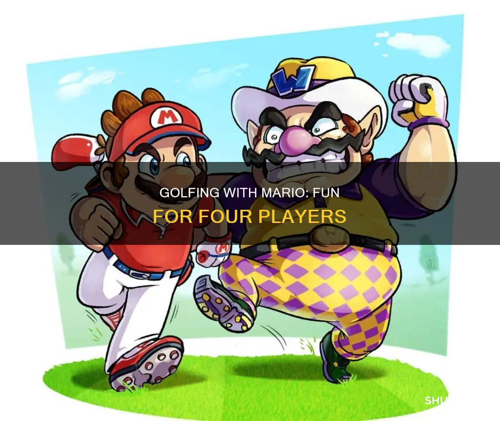 how many players is mario golf