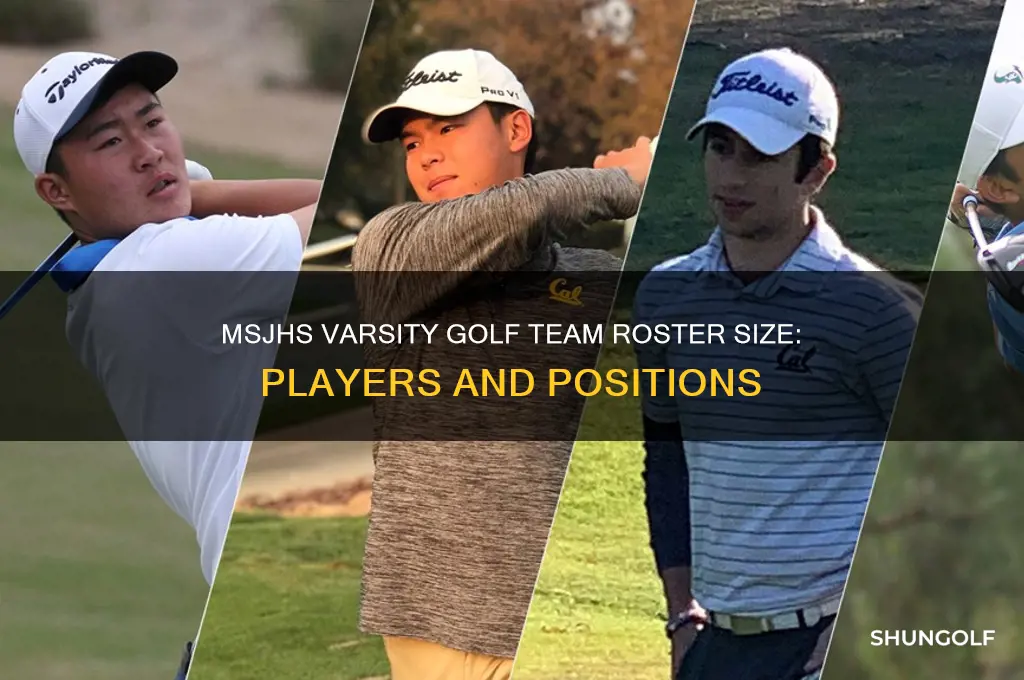 how many players on msjhs varsity golf team