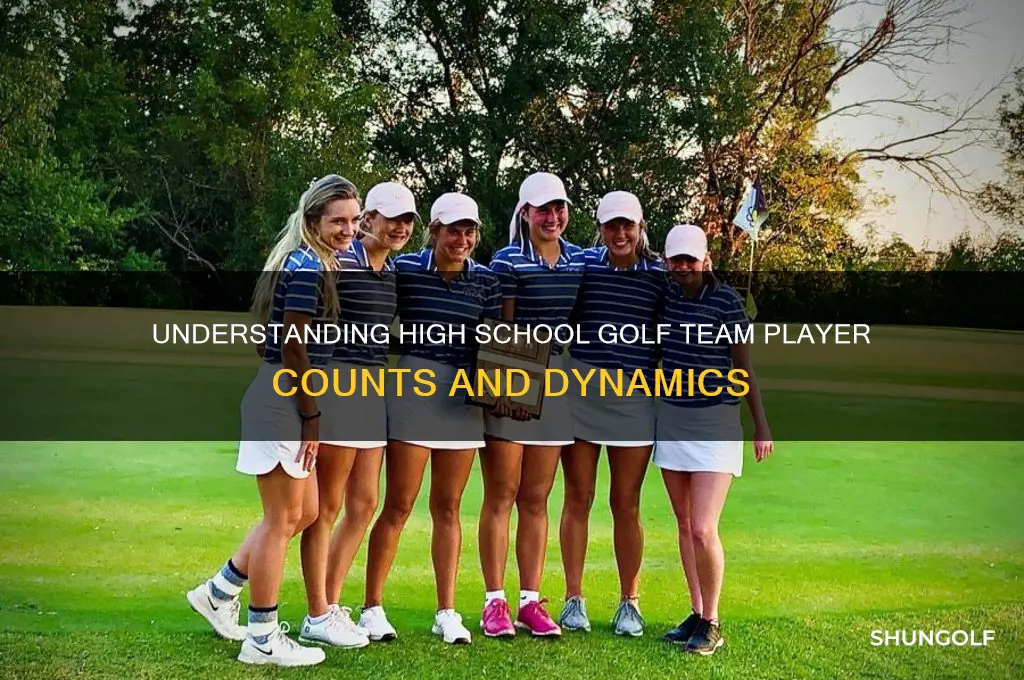 how many players play on a high school golf team