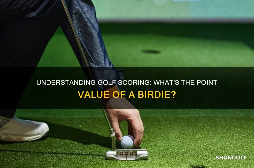 how many points is a birdie in golf