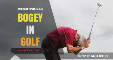 Understanding Golf Scores: What's the Point Value of a Bogey?