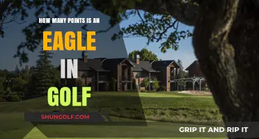 Understanding Golf Scoring: How Many Points Does an Eagle Earn?