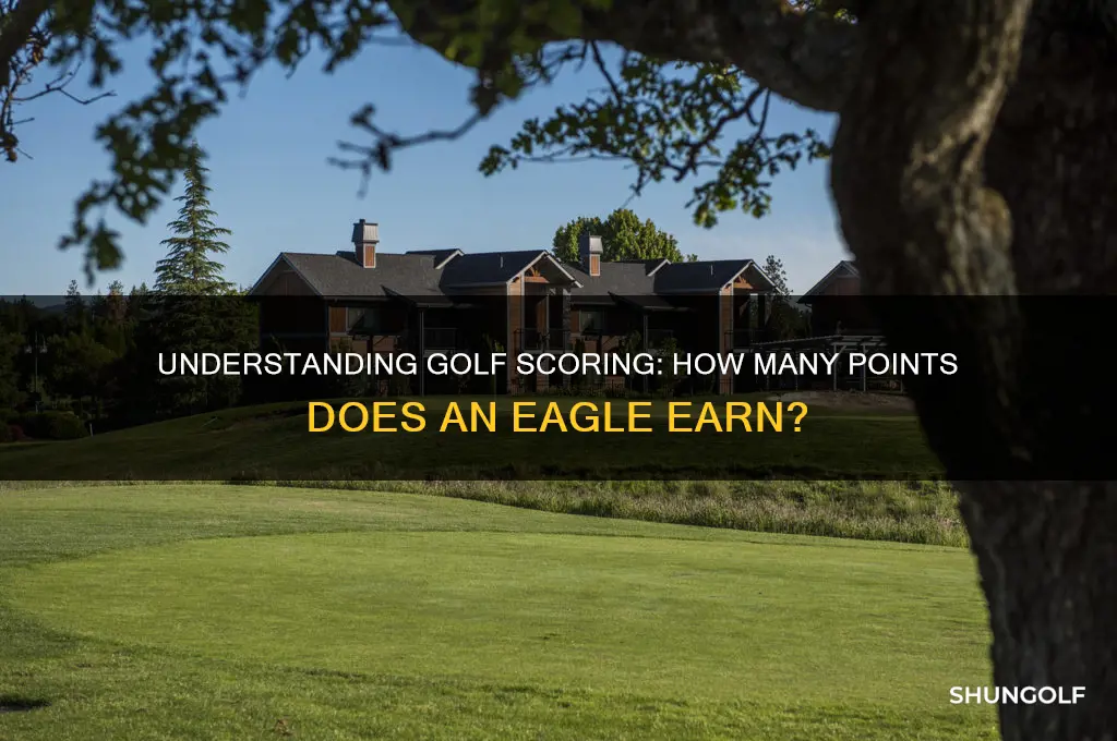how many points is an eagle in golf