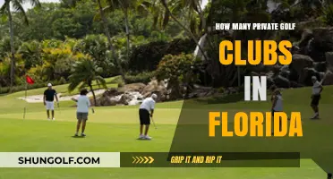 Exploring Florida's Exclusive Golf Scene: Private Clubs Count Revealed