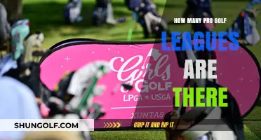Exploring the Global Landscape of Professional Golf Leagues