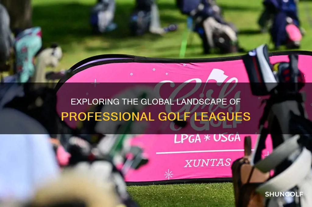 how many pro golf leagues are there