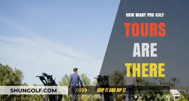 Exploring the Global Landscape of Professional Golf Tours
