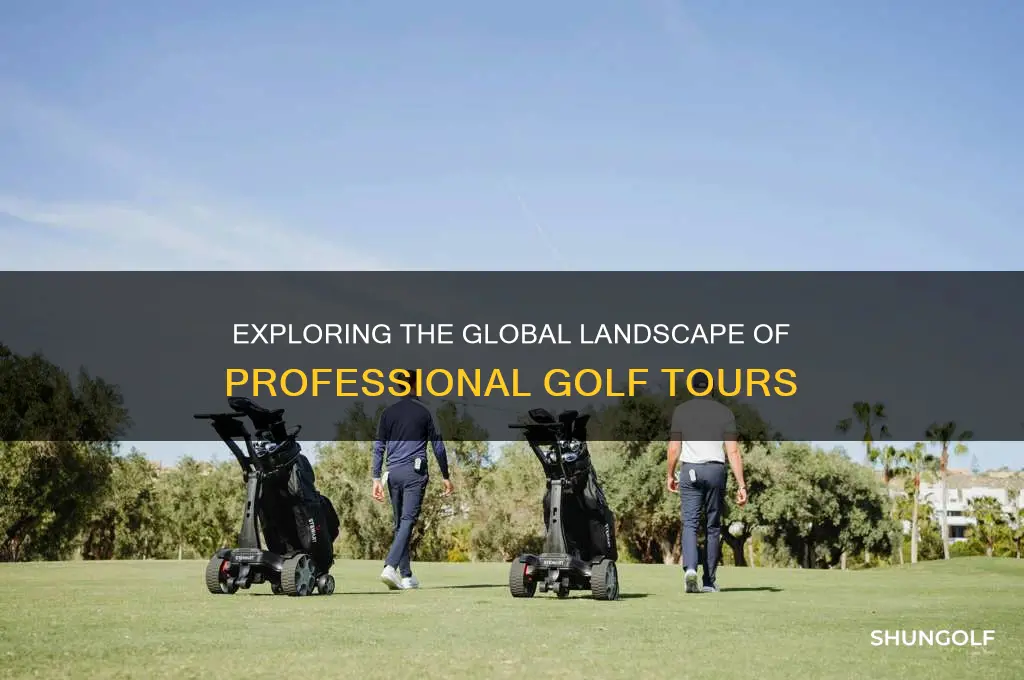 how many pro golf tours are there