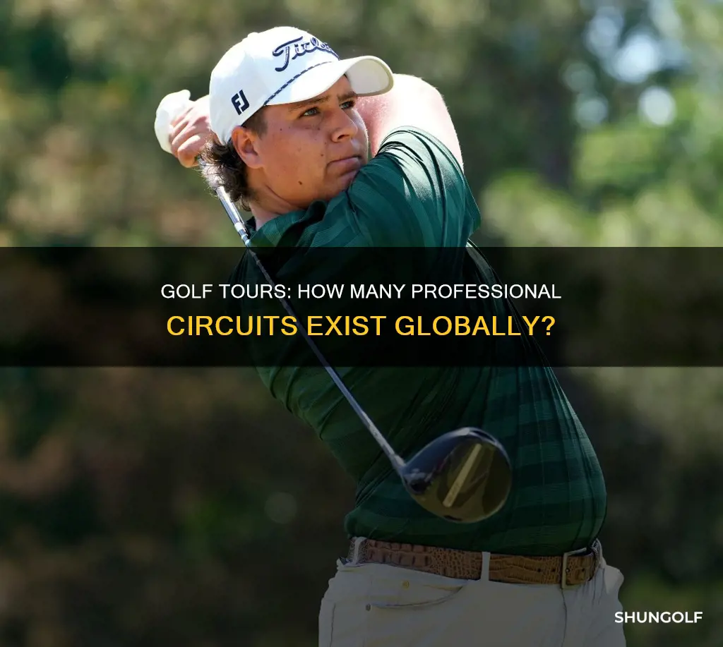 how many professional golf tours