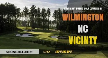 Exploring Wilmington, NC: A Guide to Public Golf Courses
