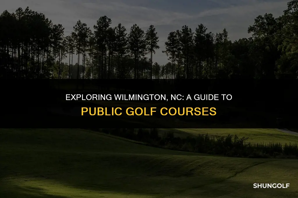 how many public golf courses in wilmington nc vicinty