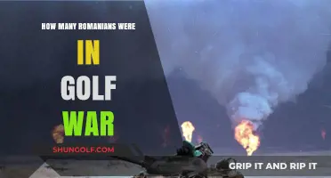 Romanian Contributions in the Gulf War: Uncovering Their Role and Numbers