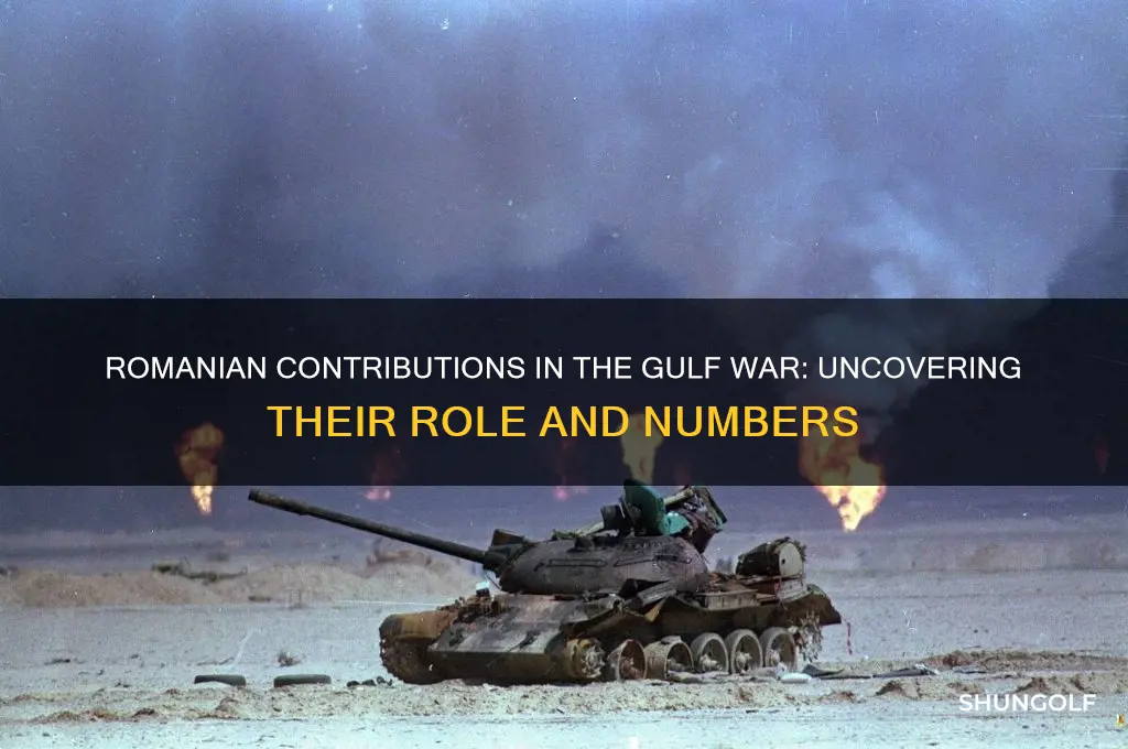 how many romanians were in golf war