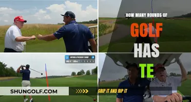 Exploring the Total Number of Golf Rounds Played by Te