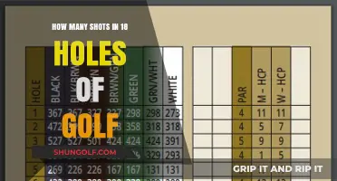 Mastering the Fairway: A Golfer's Guide to Conquering 18 Holes