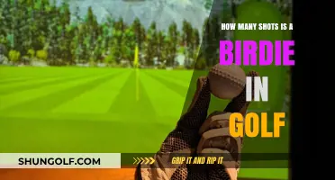 Mastering the Art of Scoring: Birdies in Golf Explained
