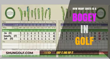Mastering the Game: Understanding Bogeys in Golf