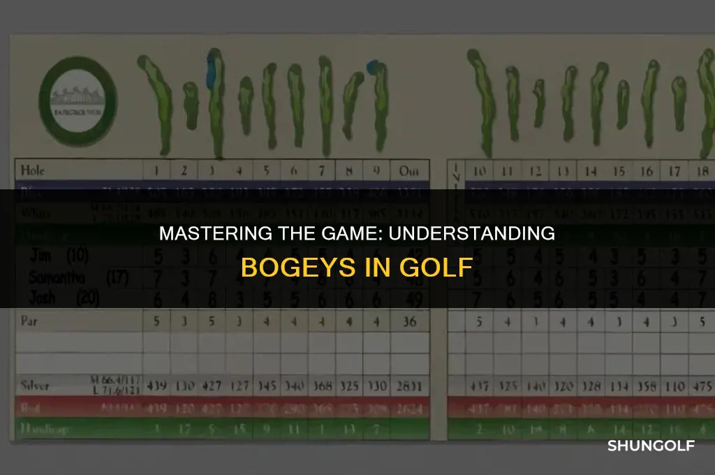 how many shots is a bogey in golf
