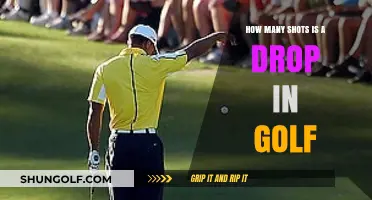 Mastering the Short Game: Understanding Golf's Drop Shot Technique