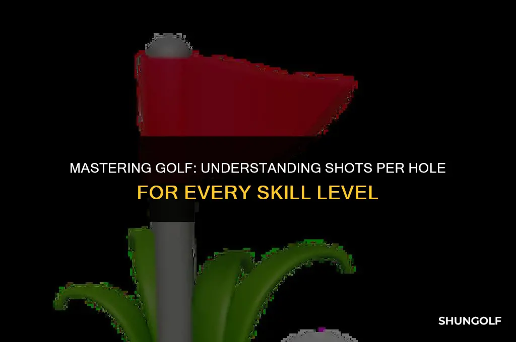 how many shots per hole in golf
