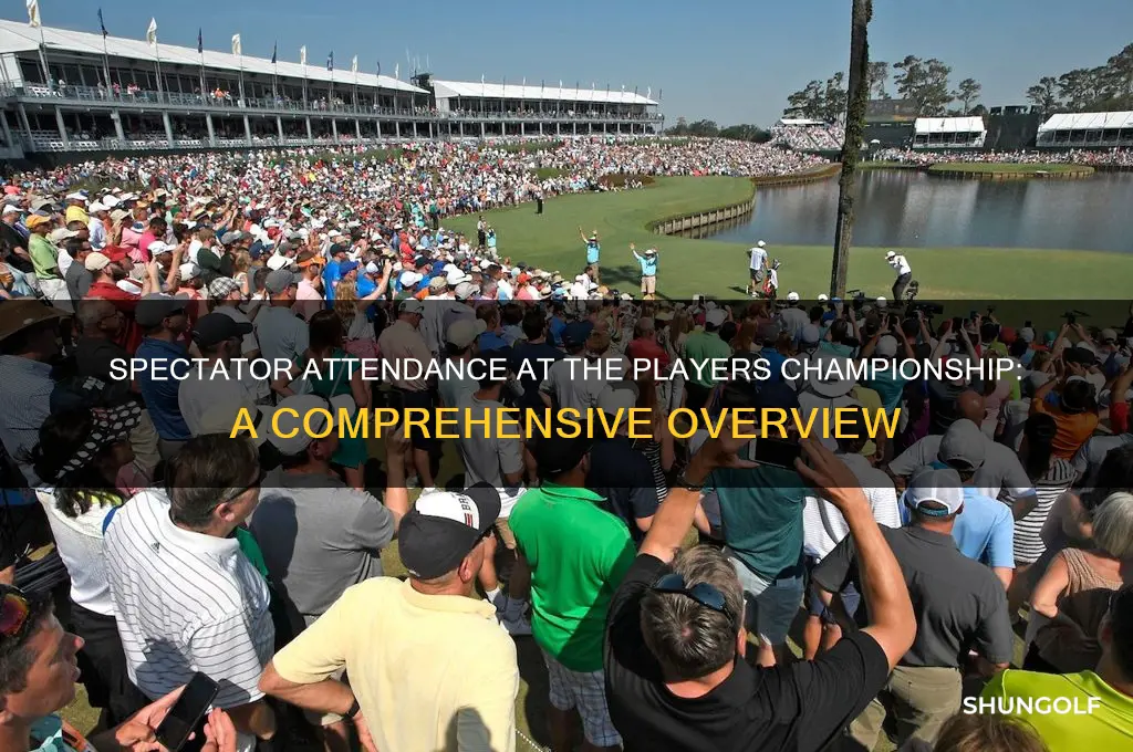how many spectators at the players golf