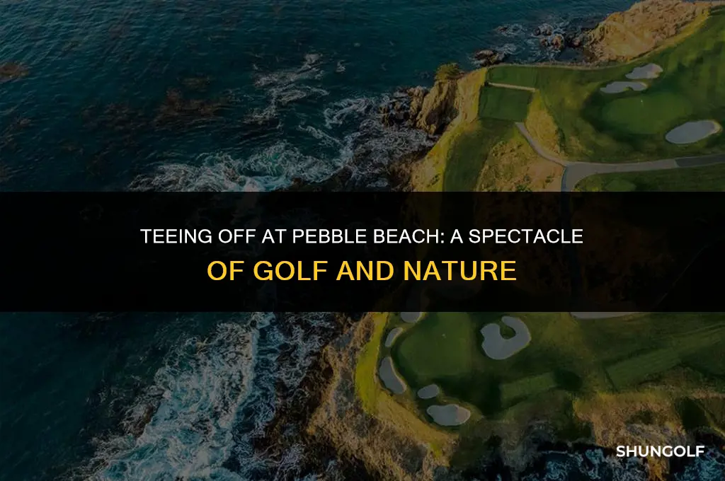 how many spectators on pebble beach golf course
