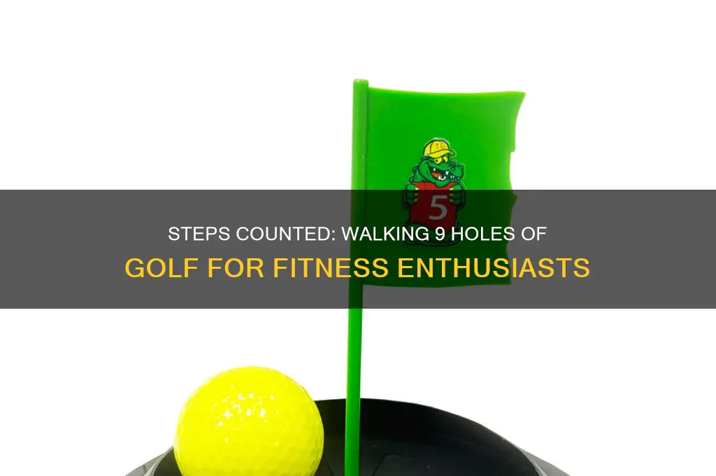 how many steps in 9 holes of golf