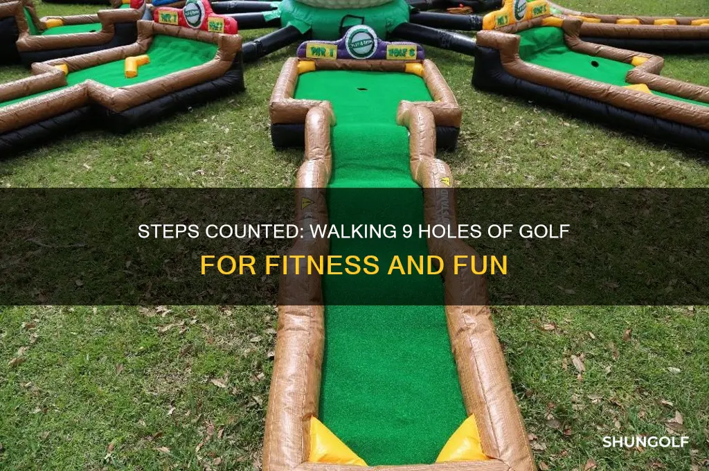 how many steps playing 9 holes of golf