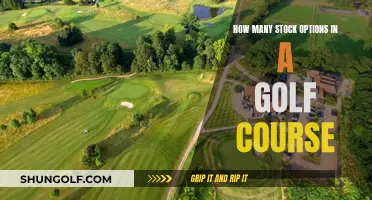 Exploring the Lucrative World of Golf Course Stock Options