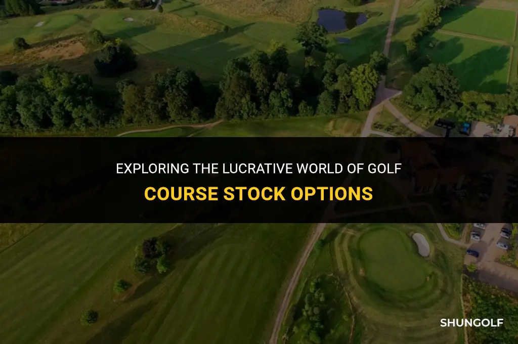 how many stock options in a golf course
