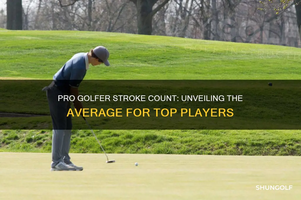 how many strokes does it take for a pro golfer