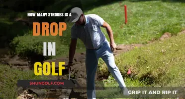 Understanding Golf's Penalty Strokes: How Many Strokes is a Drop?