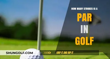 Understanding Golf Par: Strokes per Hole Explained Simply