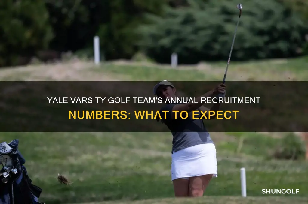 how many students yale varsity golf team recruit every year