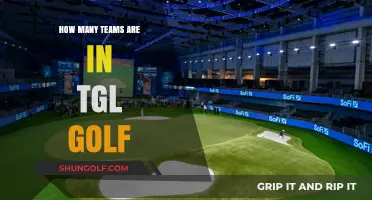 Exploring the Number of Teams Competing in TGL Golf League
