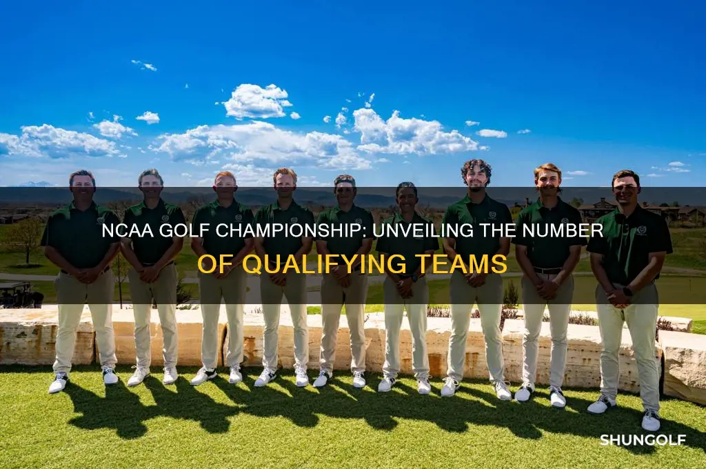 how many teams qualify for ncaa golf championship